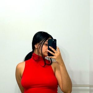 Cropped sundays best aritzia turtleneck sleeveless shirt